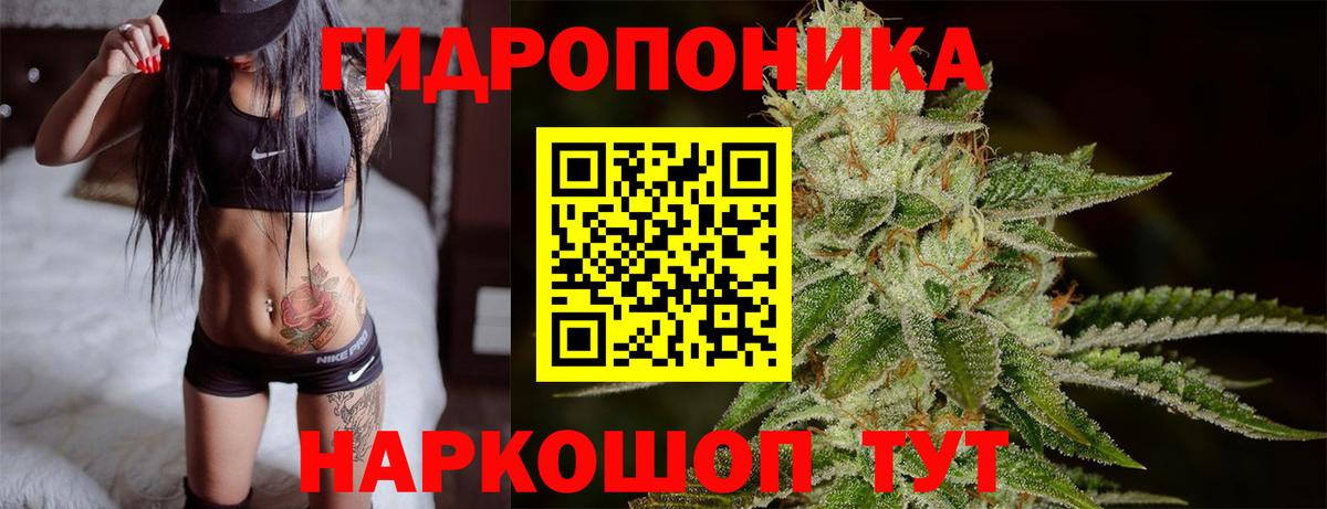 Новотроицк  Шишки марихуана семена  Вход с VPN  Шишки марихуана AK-47  Конопля Amnesia 